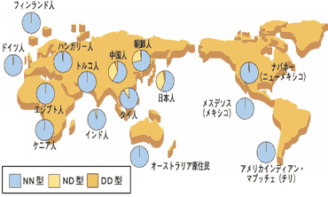 AGA若ハゲの原因 日本人は世界で有数の「アルコール代謝能力が低い」国民
