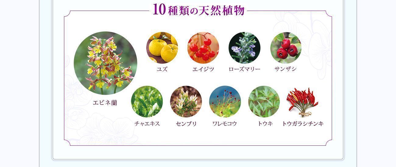 花蘭咲（カランサ） 10種類の天然植物エキス
